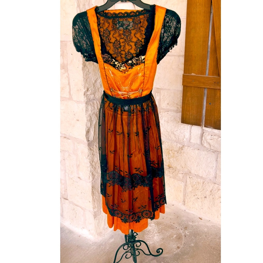 Exquisite Silk Dirndl or Costume